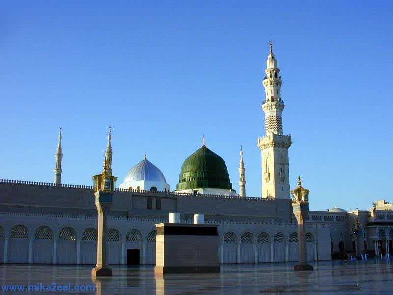 Madina-19