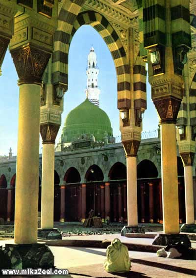 Madina-44