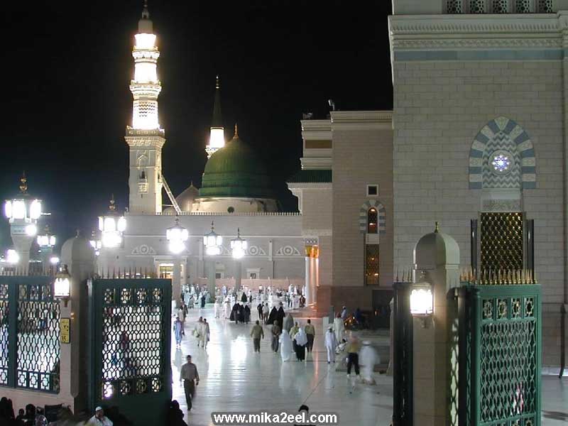 Madina-85