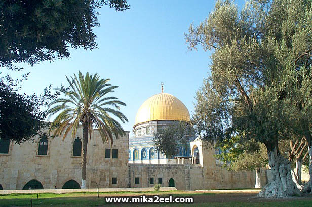 Aqsa